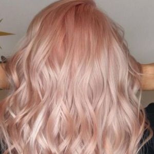 Meet your Posher, Kendahl